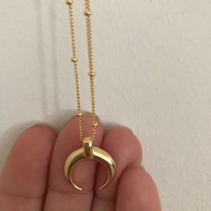 Crescent Horn Moon Necklace